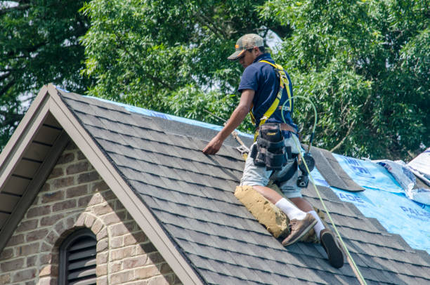 Quick and Trustworthy Emergency Roof Repair Services in Flat Rock, MI